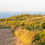 © La Bandol Classic - Bandol Blog