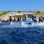 © Lecques Aquanaut - Lecques aquanaut