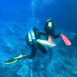 © Discovery: First dive - Lecques Aquanaut - Lecques aquanaut