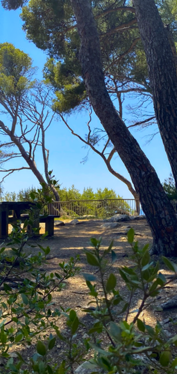 © Espace Victorin Blanc 2 - Office de Tourisme de Sanary-sur-Mer