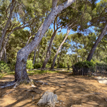 © Espace Victorin Blanc - Office de Tourisme de Sanary-sur-Mer