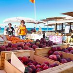 © Marché Saint Cyr les pieds dans l'eau - Office de tourisme de Saint-Cyr-sur-Mer / Joan Costeja