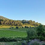 © Domaine de la Garenne - Béatrix de Balincourt