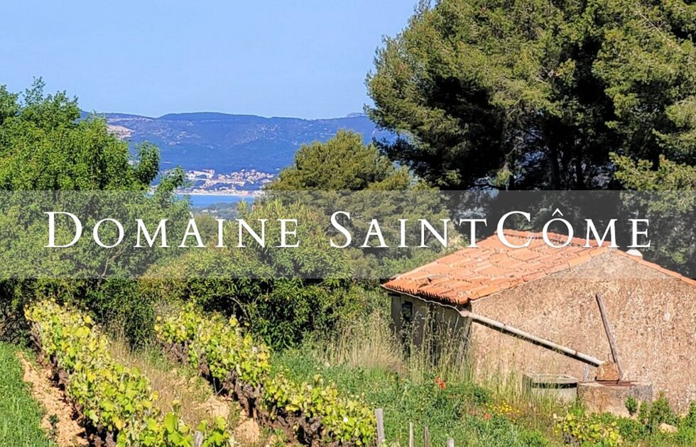 © Domaine St Côme - Joël Poutet