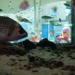 © Le petit Aquarium de la Madrague - Office de tourisme de Saint-Cyr-sur-Mer / Joan Costeja