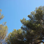 © Baumelles loisirs - Office de tourisme de Saint-Cyr-sur-Mer / Joan Costeja