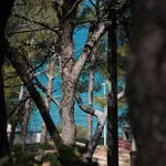 © Baumelles loisirs - Office de tourisme de Saint-Cyr-sur-Mer / Joan Costeja
