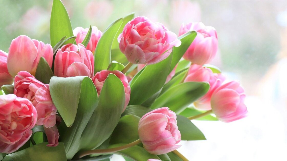 © Marché aux Fleurs - Image d'illustration