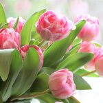 © Marché aux Fleurs - Image d'illustration