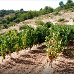 © Domaine des Hautes - LIMP
