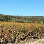 © Le clos de la Pinède - Mme Piana