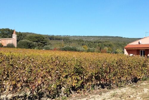 Le Clos de la Pinède