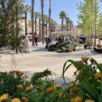© Marché quotidien Bandol - Bandol Tourisme