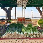 © Marché hebdomadaire Bandol - Bandol Tourisme