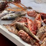 © Marché hebdomadaire Bandol - Bandol Tourisme