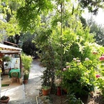 © extérieur - Maero
