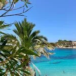 © Plage de Renecros / Renecros Beach - Plage Renecros Bandol