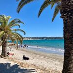 © Plage du Grand Vallat Bandol - Plage du Grand Vallat Bandol