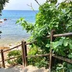 © Plage Eden Roc / Eden Roc Beach - Eden Roc Bandol