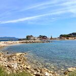 © Dog Beach Bandol - Dog Beach Bandol