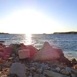 © Dog Beach Bandol - Dog Beach Bandol