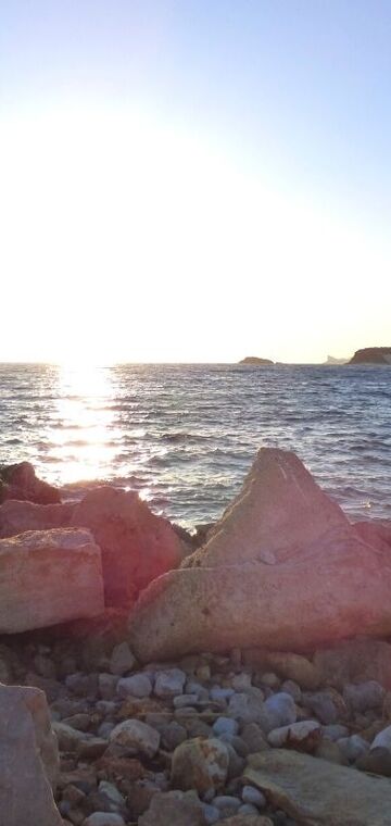 © Dog Beach Bandol - Dog Beach Bandol