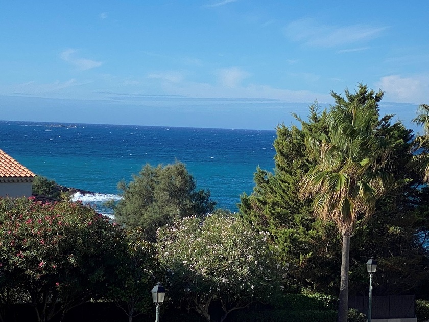 © Vue mer - Desbois Luc