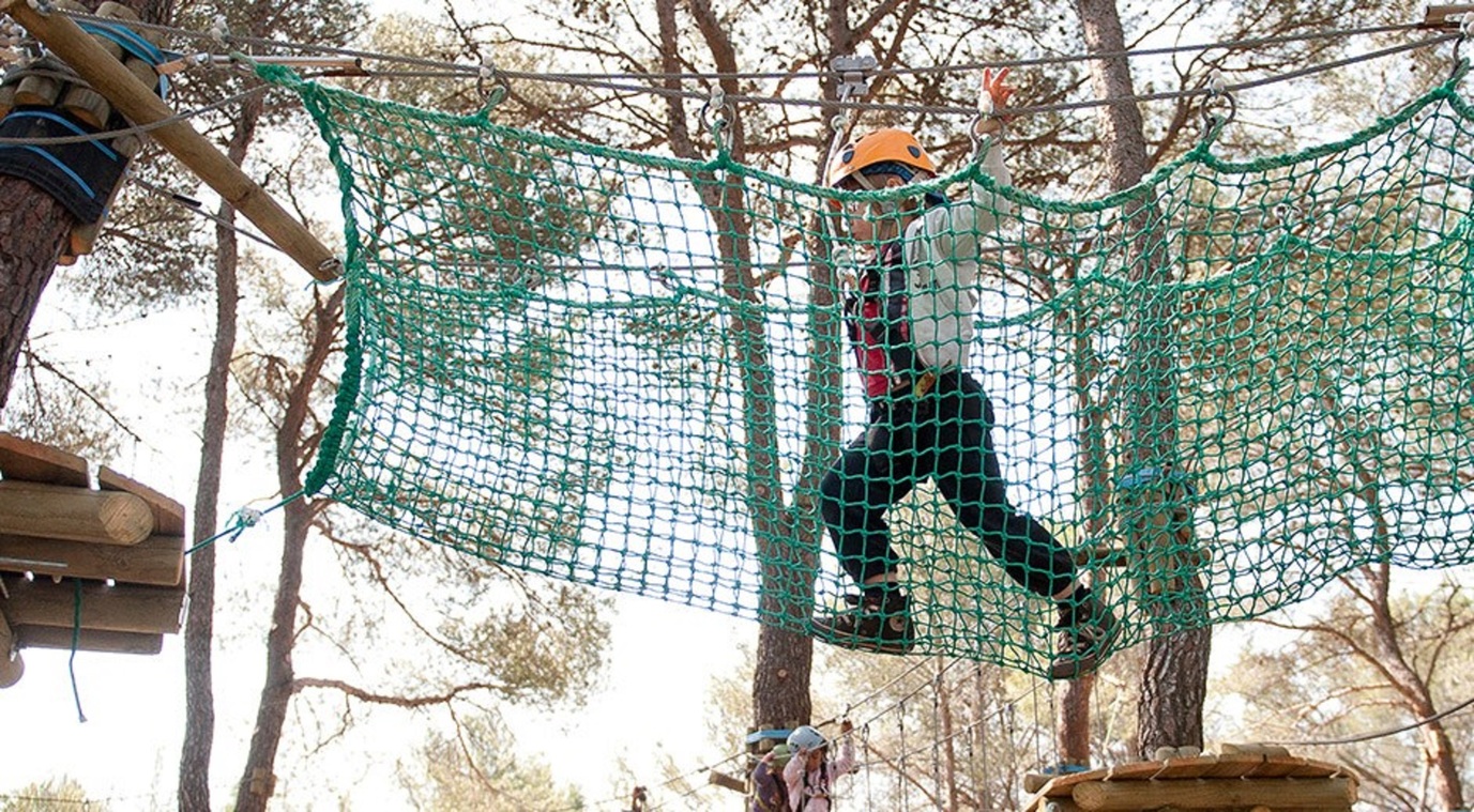 © The Adventure Trail - Le Royaume des arbres
