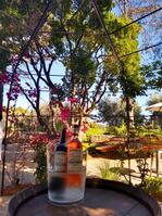 © vin - La Bastide Blanche
