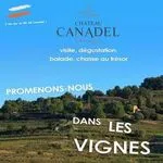 © Wine domain Canadel - Canadel