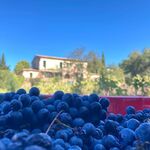 © maison - Clos du Cas