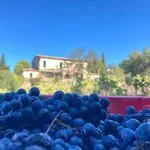 © maison - Clos du Cas