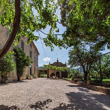 © Château Romassan - Château Romassan