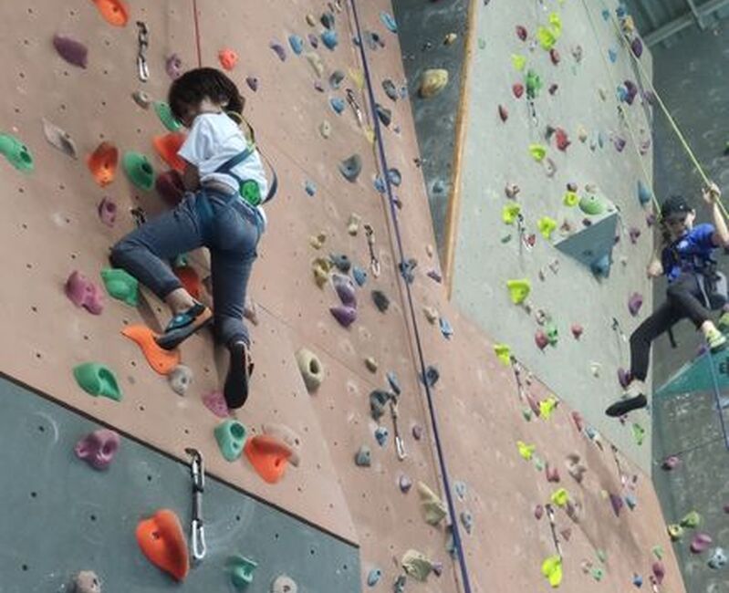 Le Plan Vertical