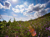 © Domaine de Nartette - Office de tourisme de Saint-Cyr-sur-Mer / Joan Costeja