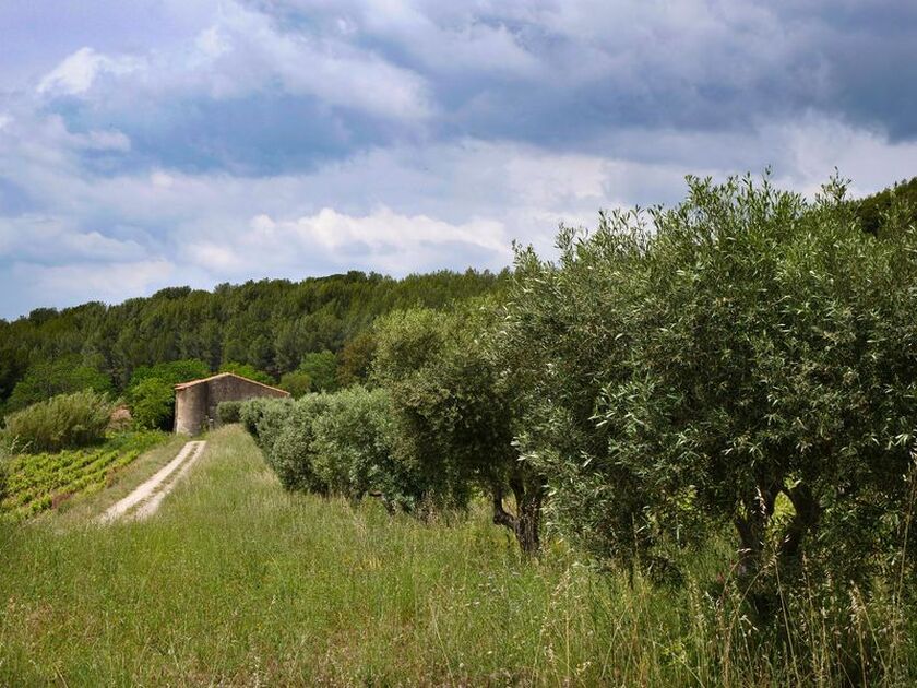 © Domaine de Nartette - Office de tourisme de Saint-Cyr-sur-Mer / Joan Costeja