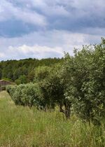 Balade nature commentée du domaine de Nartette