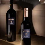 © Les vignobles Gueissard - Les vignobles Gueissard