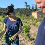 © Les vignobles Gueissard - Les vignobles Gueissard