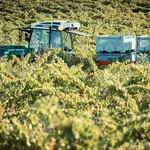 © Les vignobles Gueissard - Les vignobles Gueissard