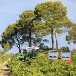 © Les vignobles Gueissard - Les vignobles Gueissard