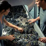 © Les vignobles Gueissard - Les vignobles Gueissard