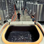 © Les vignobles Gueissard - Les vignobles Gueissard