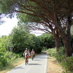 © Le Parcours Cyclable du Littoral Varois - V65 - Nicolas Pinson @ France Vélo tourisme