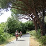 © Le Parcours Cyclable du Littoral Varois - V65 - Nicolas Pinson @ France Vélo tourisme