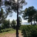 © Vent de Souleou - Vent de Souleou 2022