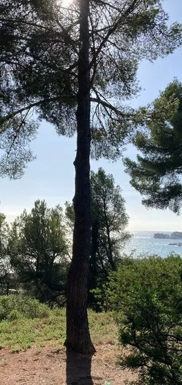 © Vent de Souleou - Vent de Souleou 2022
