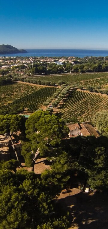 © Château Pradeaux - Château Pradeaux