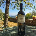 © vin II - Domaine de la tour du bon