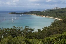 © Dolphin watching trip - La Croix du Sud - La Croix du sud
